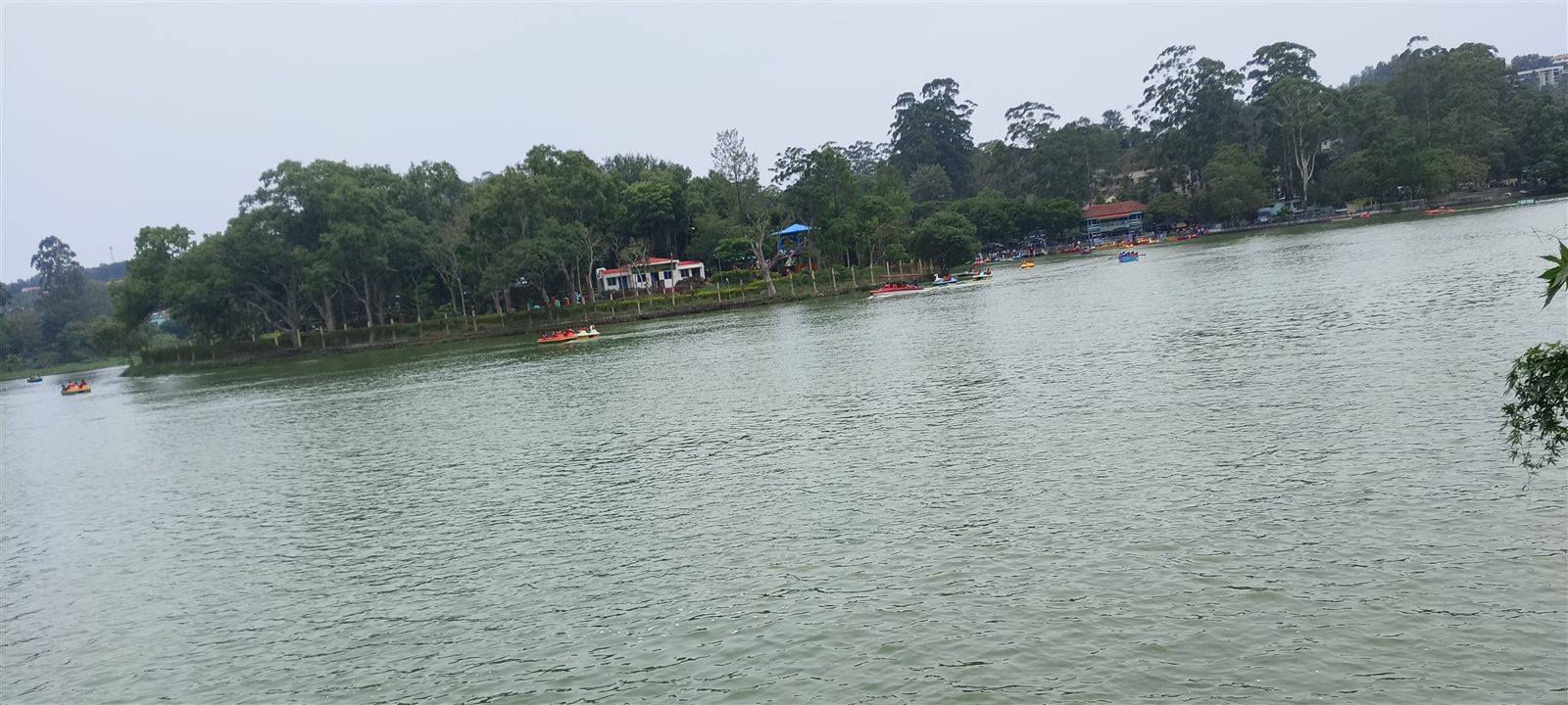 ஏற்காடு ஏரியில் படகு சவாரி